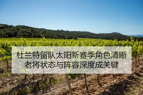 杜兰特留队太阳新赛季角色清晰 老将状态与阵容深度成关键